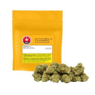 Ultra Jack - 28g (7Acres)