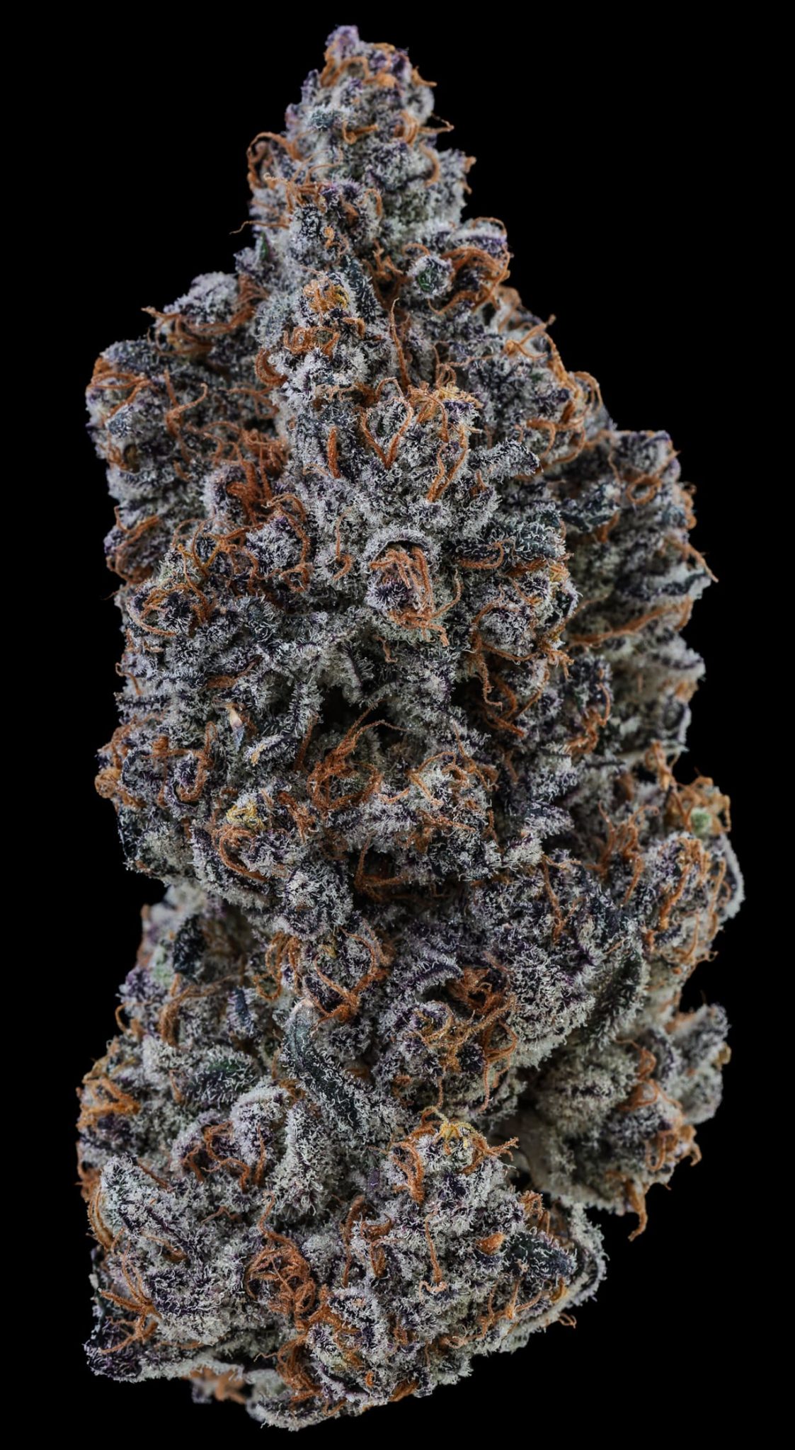 Espresso Cndy - 3.5g (BLK MKT)