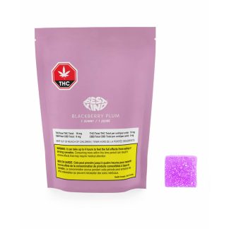 Blackberry Plum Gummy - 1 x 10mg (Best Kind)