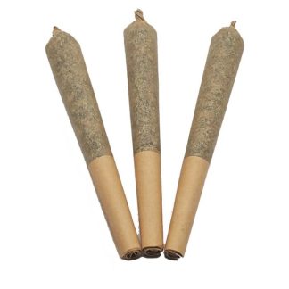 Organic Mango Gold P/R - 7 x 0.5g (Papa Joe's)