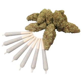 Mango Gold P/R - 7 x 0.5g (Papa Joe's Organics)