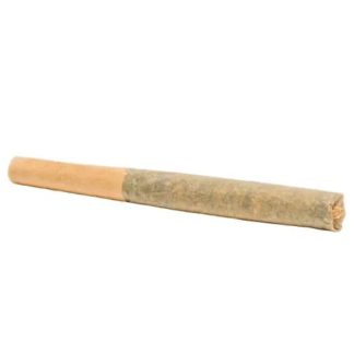 Roll Up Indica P/R - 2 x 1g (Divvy)