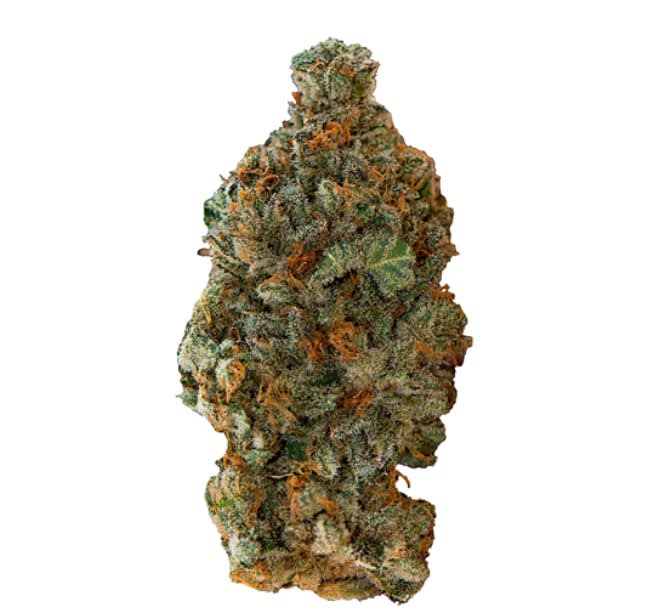 Girl Scout Cookies - 28g (Versus)