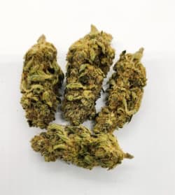 Ghost OG - 3.5g (Elevator)