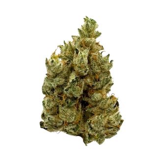 Honey Banana - 7g (BC Weed Co)