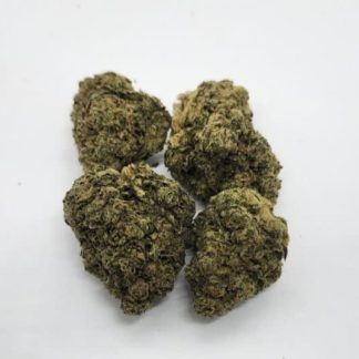 Orange Dreamsicle - 28g (Zippy)