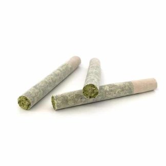 Geisha Breath P/R - 3 x 0.5g (StoneGrove)