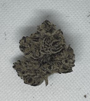 Cherry Fire - 3.5g (T8 Cannabis)