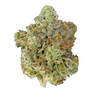 Master Kush Ultra - 7g (Smoker Farms)