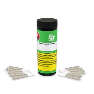 Permanent Marker P/R - 10 x 0.3g (Er' What)
