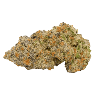 Coffee Creamer - 7g (Broken Coast)