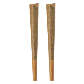 Glazed Indica P/R - 2 x 1g (Bold)