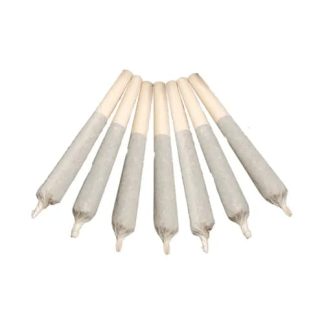 Rainbow Warrior P/R - 7 x 0.5g (Papa Joe's Organics)