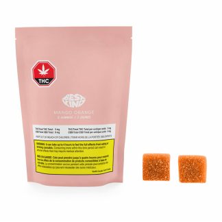 Mango Orange Gummies - 2 x 5mg (Best Kind)