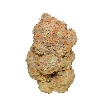 Oreoz X Orange Punch