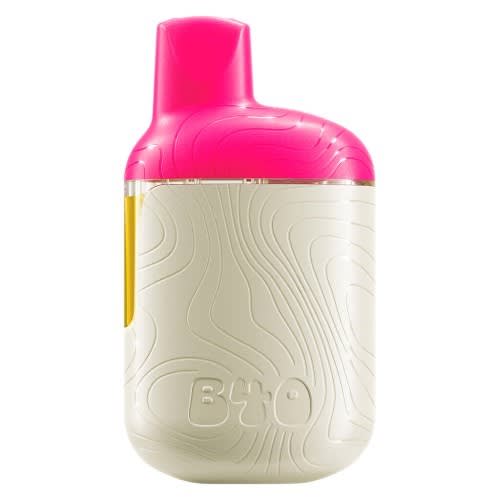 Watermelon Ice Disposable Vape - 0.95g (Back Forty)