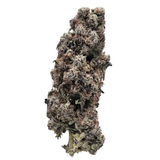 Ultra Garlic - 28g (Rogworld)