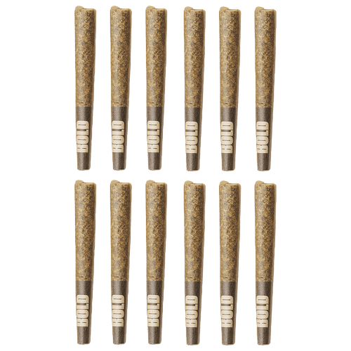 Orange Crush P/R - 12 x 0.5g (Bold)