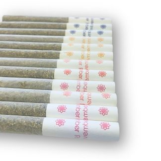 Blaster Multipack P/R - 12 x 0.5g (November Rain)