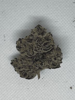 Cherry Fire - 3.5g (T8 Cannabis)