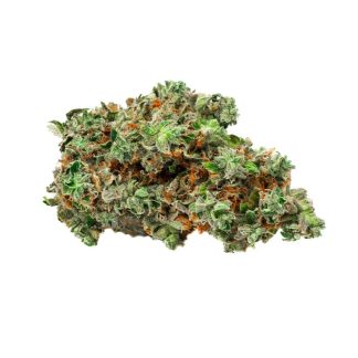 Root Beer Float - 7g (Bold)