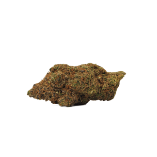 Orange Crush - 7g (Bold)