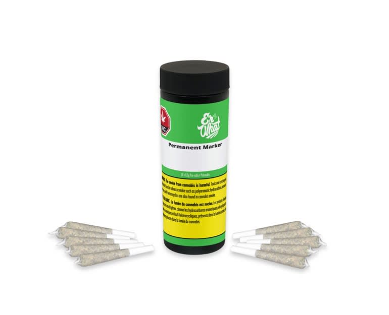 Permanent Marker P/R - 10 x 0.3g (Er' What)