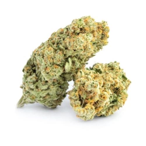Acapulco Gold - 7g (Jonny Chronic)