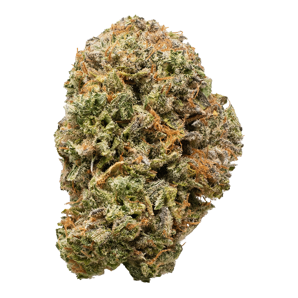 Fossil Fuel (Battle River Bud)