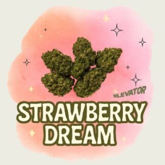 Strawberry Dream P/R - 3x0.5g (Elevator)