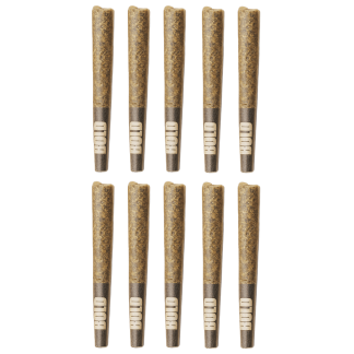 Root Beer Float P/R - 10 x 0.5g (Bold)