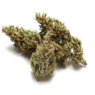 The Ambassador Kief Infused CBD - 7g (Grown Here Farms)