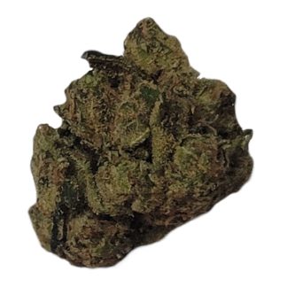 Midnight Kruntz (November Rain)