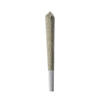 Sherberry P/R - 3 x 1g (HG C&E)