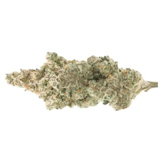 Papaya Bomb - 3.5g (Sumo)