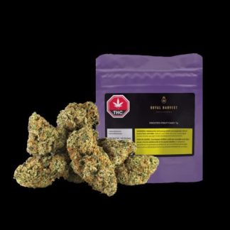 Frosted Fruit Cake - 14g (Royal Harvest)