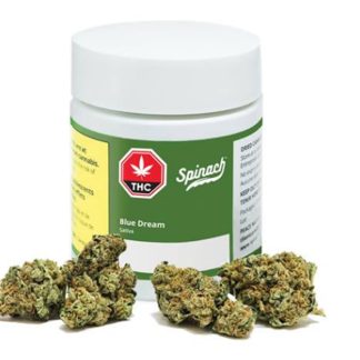 Blue Dream (Spinach)