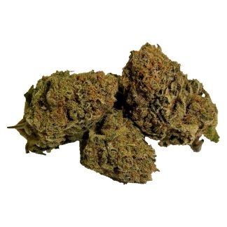 Happy Daze - 28g (Dykstra Greenhouses)