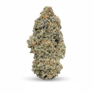 Bubblegum Kush Mintz - 3.5g (Saltspring Magic)