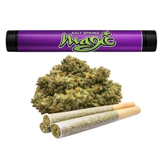 Pine Tar P/R - 3 x 0.5g (Saltspring Magic)