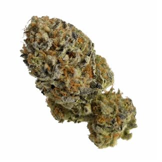 Formula One - 3.5g (Saltspring Magic)