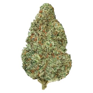 Chemzilla - 14g (Back Forty)
