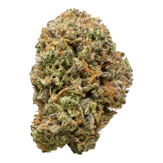 Fossil Fuel - 3.5g (Battle River Bud)