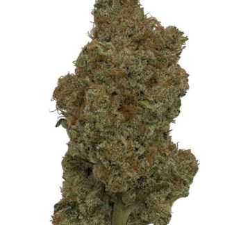Slurricane - 3.5g (Prime Bloom)