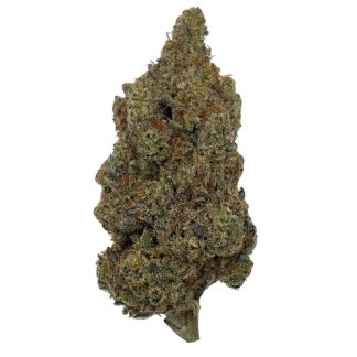 Prime Lime - 3.5g (prime Bloom)