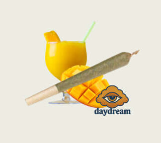 Mangorita P/R's - 3x0.5g (Daydream)