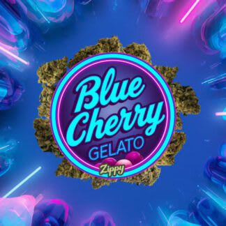 Blue Cherry Gelato - 28g (Zippy)
