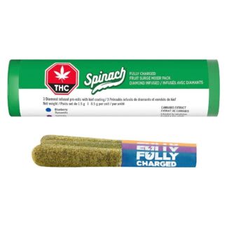 Fully Charged Fruit Surge Mixer Pack Infused P/R's- 3x0.5g (Spinach)