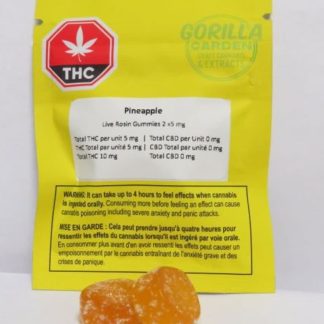 Pineapple Live Hash Rosin Gummies - 2 x 5mg (Gorilla Garden)