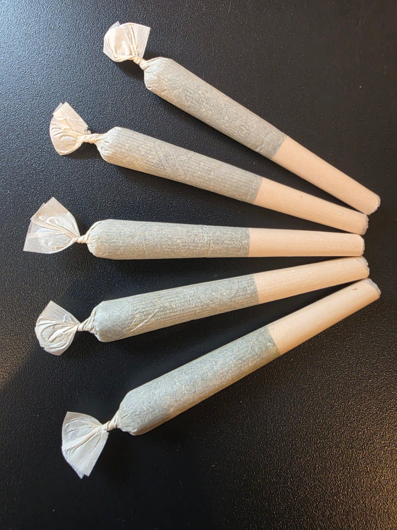 Ambassador CBD P/R - 5 x 0.5g (Seventails)
